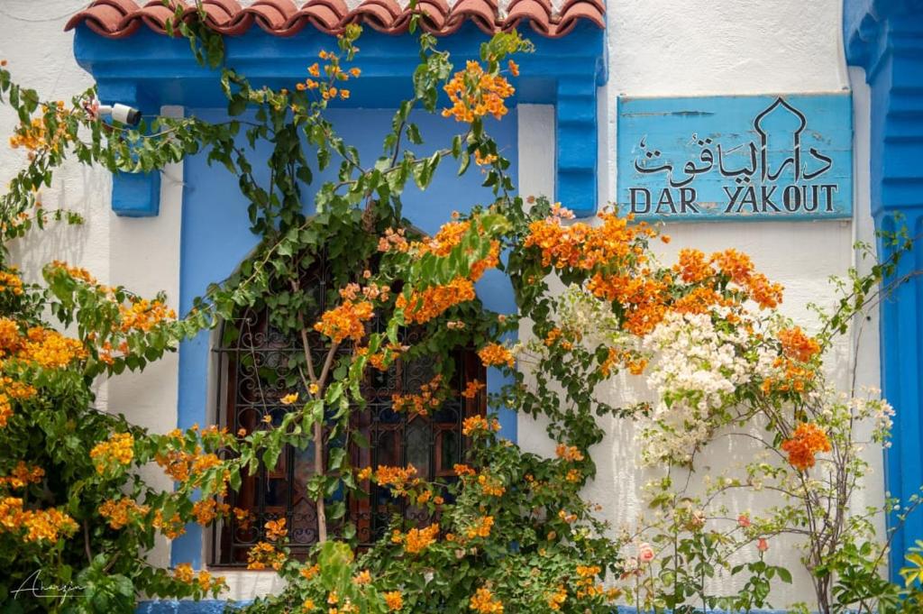 Dar Yakout Riad Chefchaouen 1 Dar Yakout Riad Chefchaouen 1